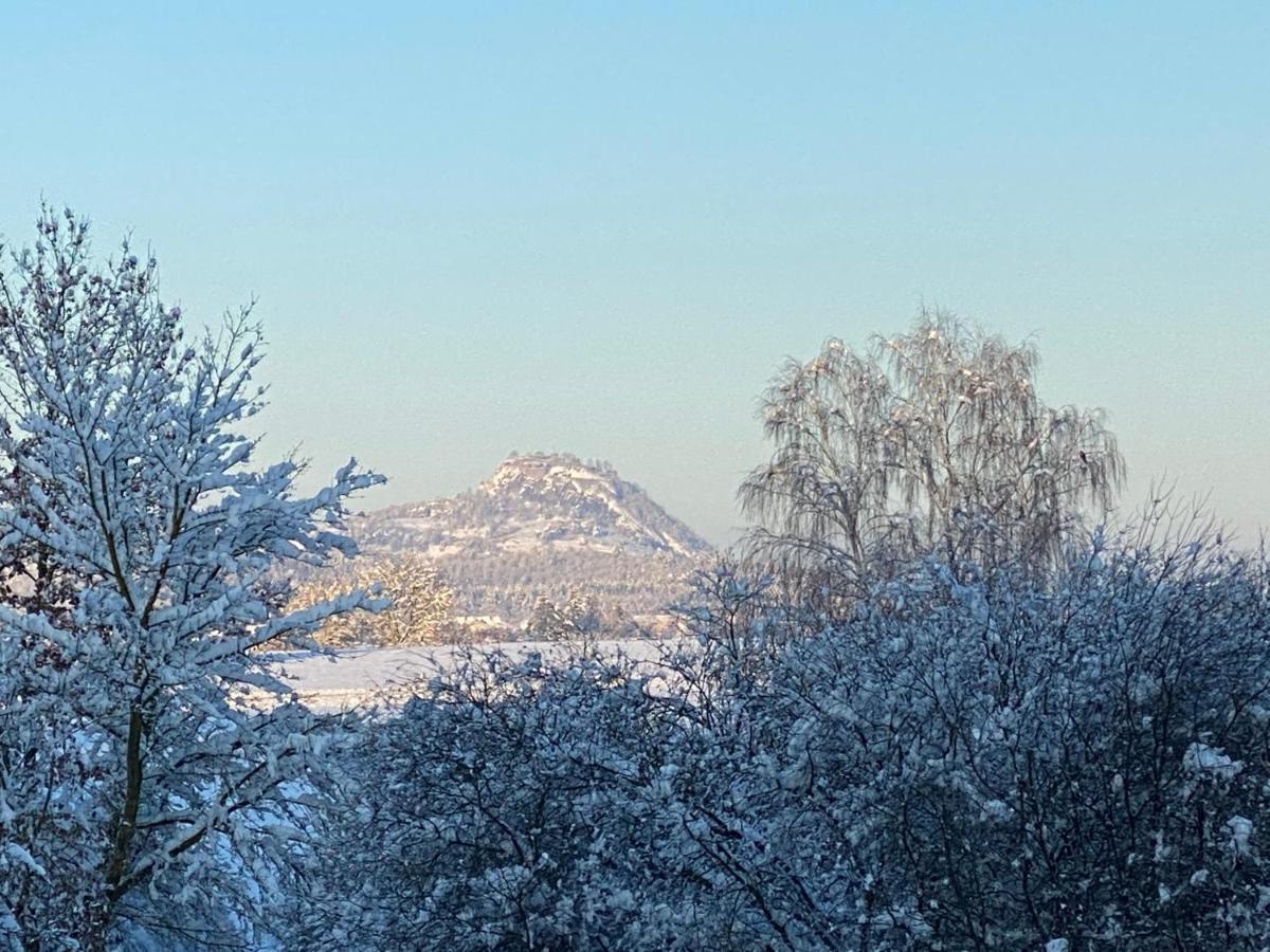 Wunderschoene Helle Wohnung Mit Grosser Dachterrasse Gottmadingen Buitenkant foto